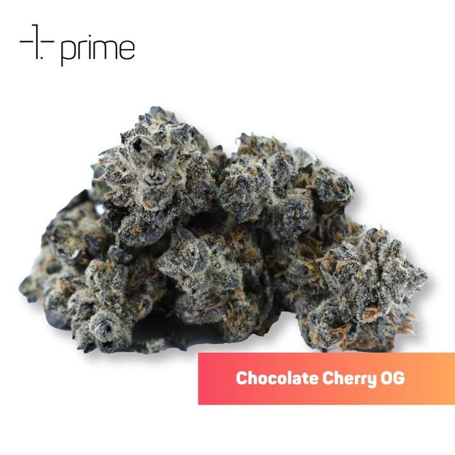 Chocolate Cherry OG #1 Prime Wellness
