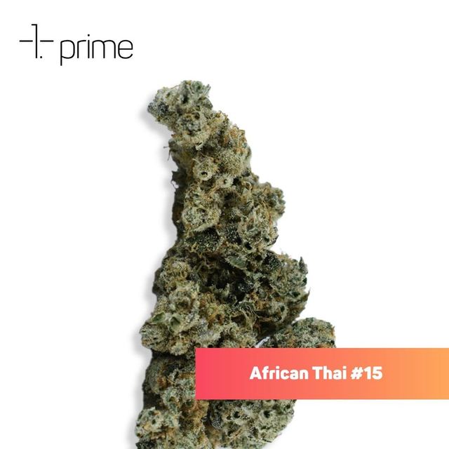 African Thai #15 Prime Wellness