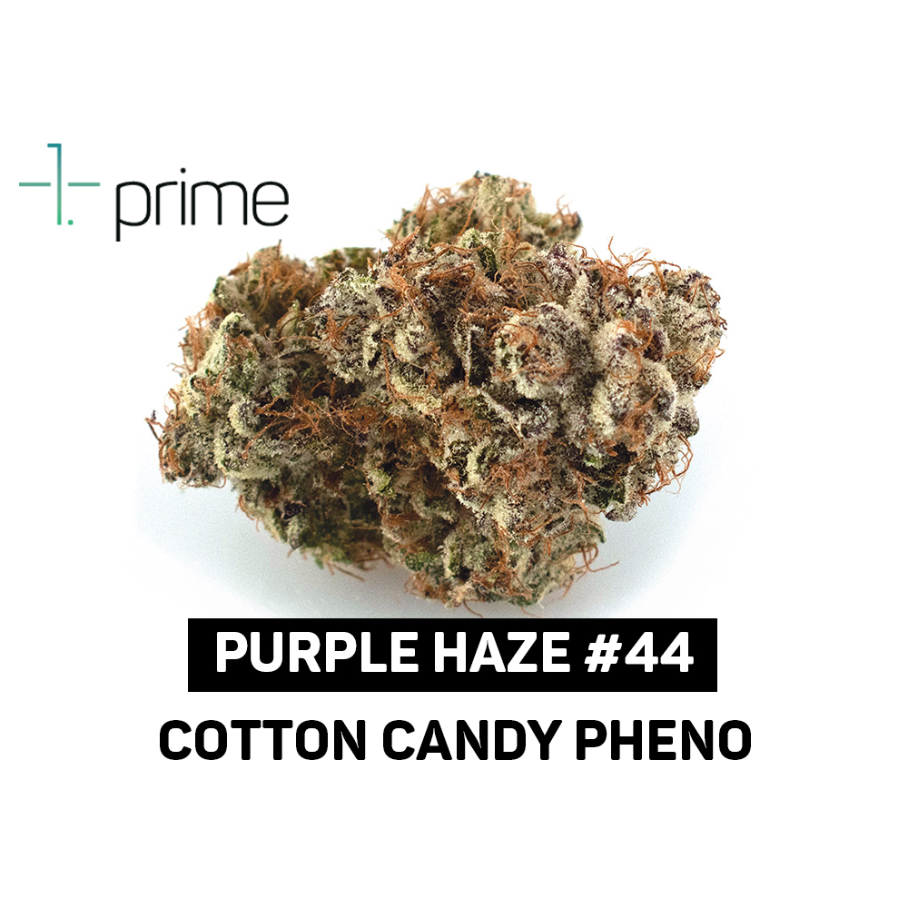 Purple Haze #44 14g Whole Flower | Curaleaf DuBois, PA | Medical