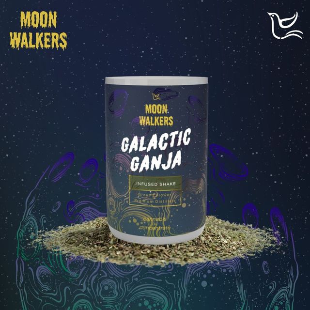 Indigo Outlaw Moon Walker