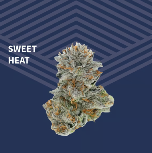Sweet Heat Pure Dakota