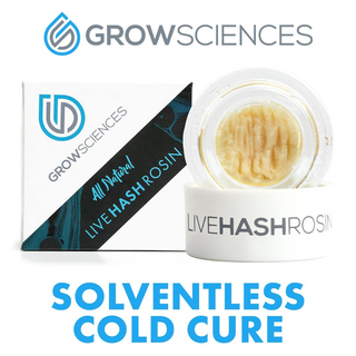 Sherbanger 22 x Permanent Marker 3 Grow Sciences