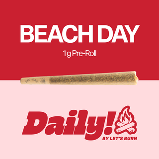 Beach Day Daily!