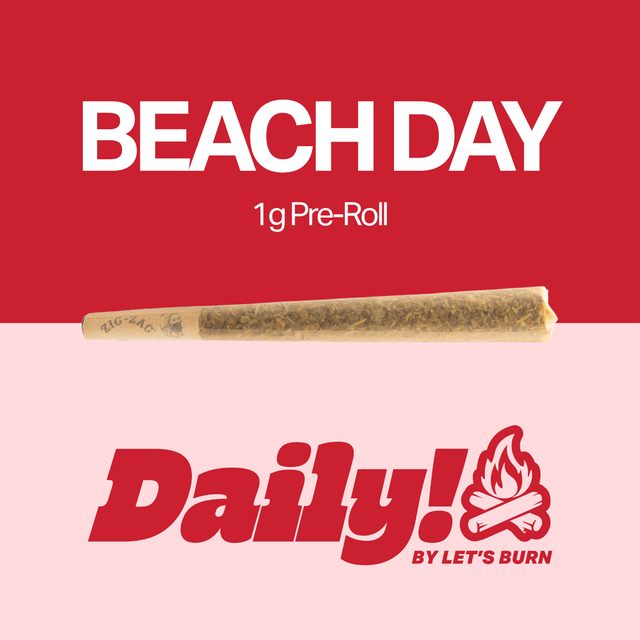 Beach Day Daily!