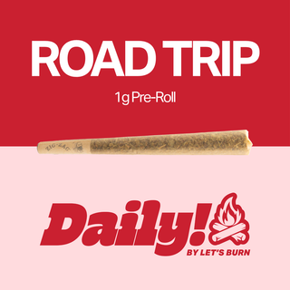 Road Trip Daily!