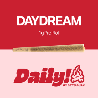 Daydream Daily!