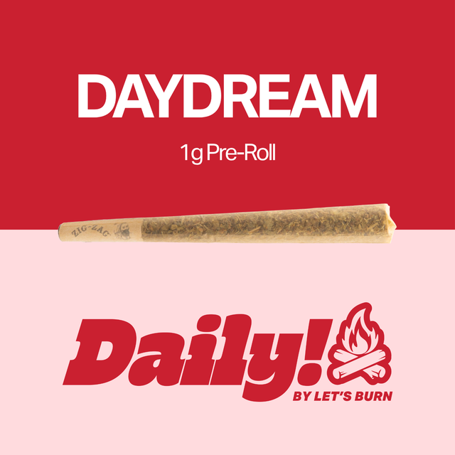 Daydream Daily!