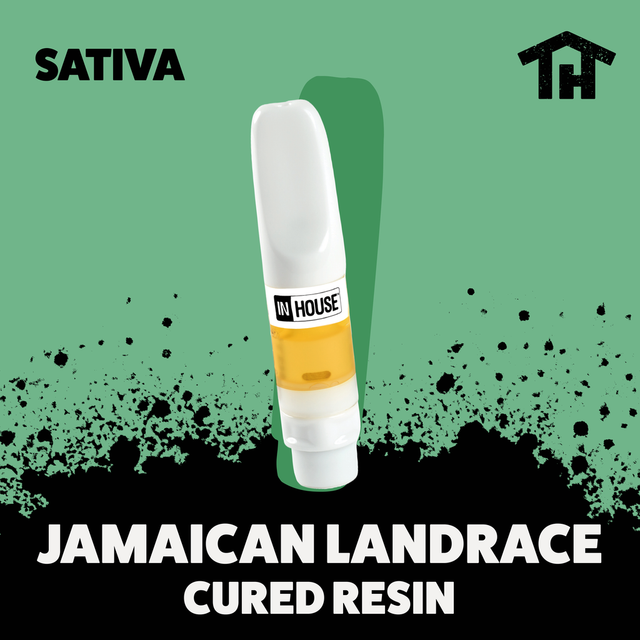 Jamaican Landrace In House Jamaican Landrace In House
