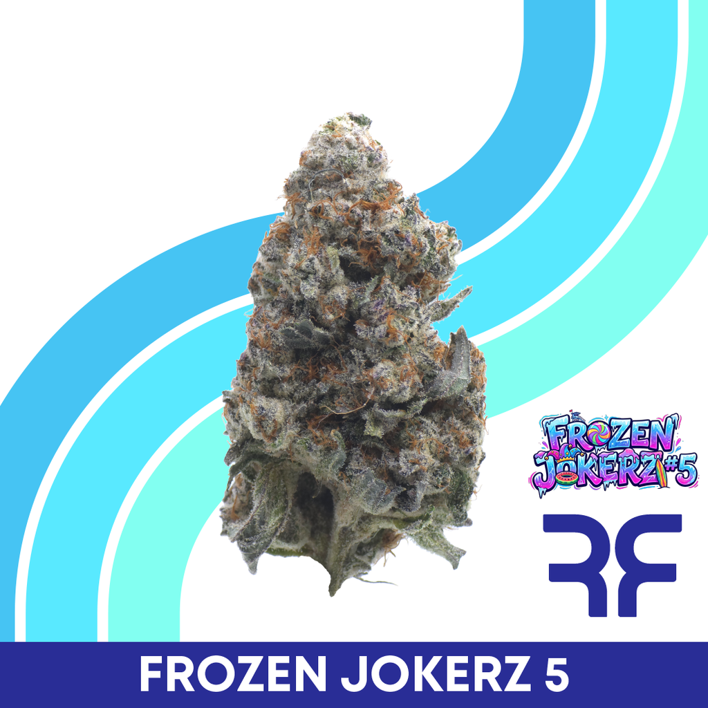 Frozen Jokerz #5 3.5g Whole Flower | Curaleaf Fort Myers, FL