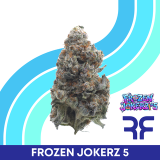 Frozen Jokerz #5 Reef