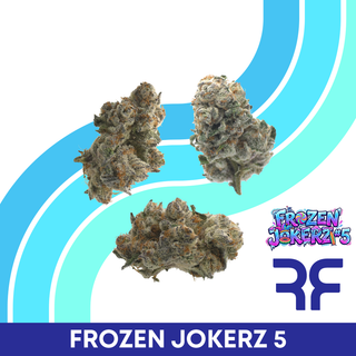 Frozen Jokerz #5 Reef
