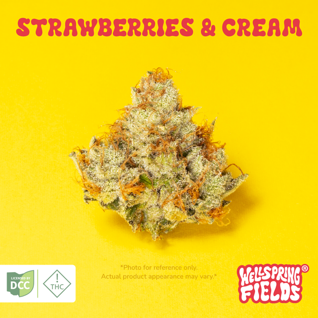 Strawberries & Cream Wellspring Fields
