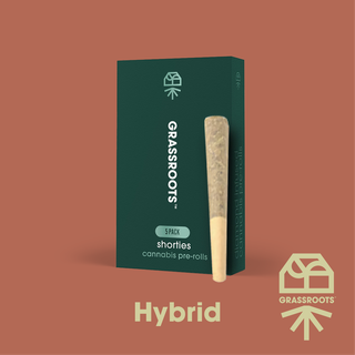 Garlic Cookies x TanGMO Grassroots
