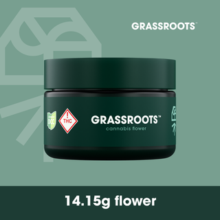 Bomboloni Grassroots