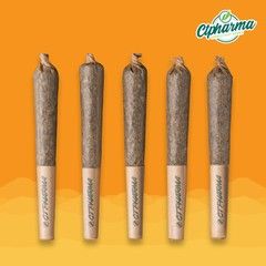 Super Lemon G CTPharma Super Lemon G CTPharma