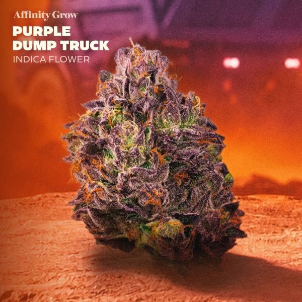 Purple Dump Truck Flower Affinity Grow