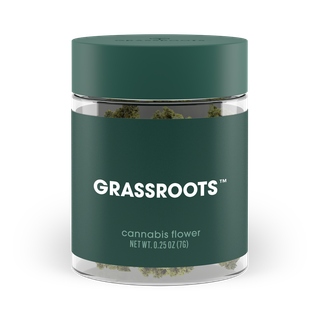 Triple Mints Grassroots