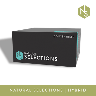 Candy Fumez x Blue NRDS x Animal MNTZ Natural Selections