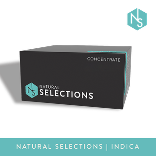 Lemon Cherry Gelato Natural Selections