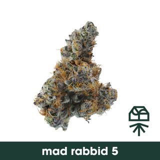 Mad Rabbid #5 Grassroots