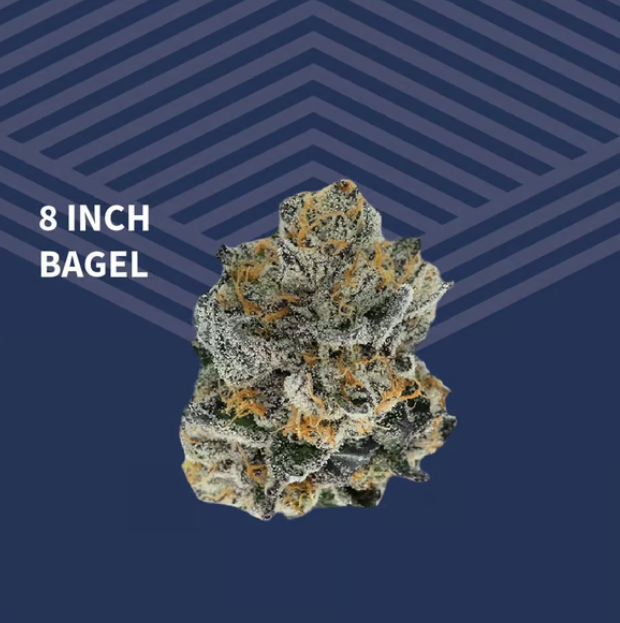 8" Bagel Pure Dakota