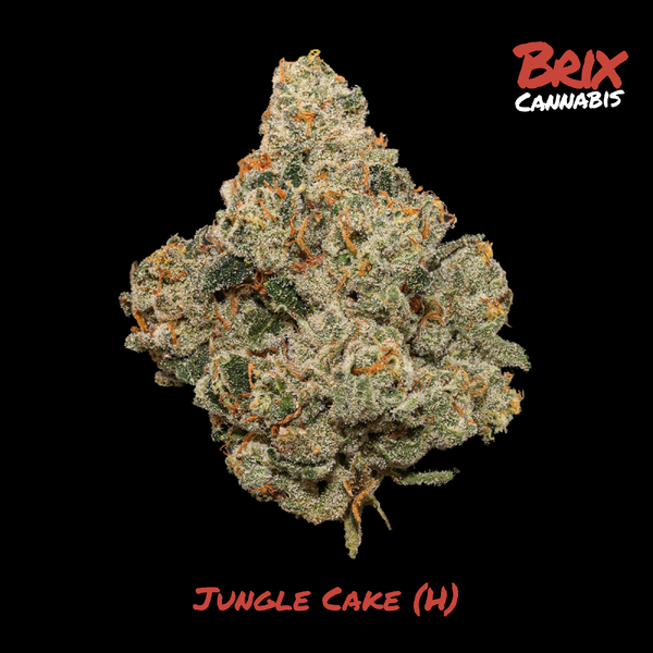 Jungle Cake