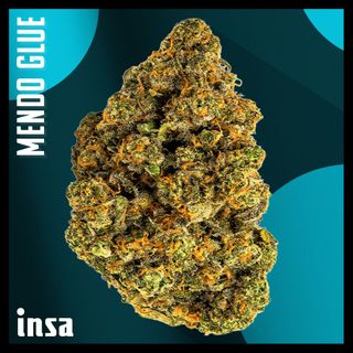 Cannabis Promo, Cannabis Sales, Cannabis Discounts, Cannabis on Sale, $75 INSA 14g Flower! 1