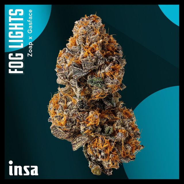 Fog Lights INSA Fog Lights INSA