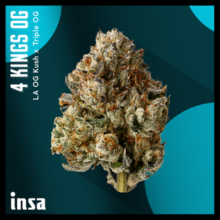 Cannabis Promo, Cannabis Sales, Cannabis Discounts, Cannabis on Sale, $75 INSA 14g Flower! 3