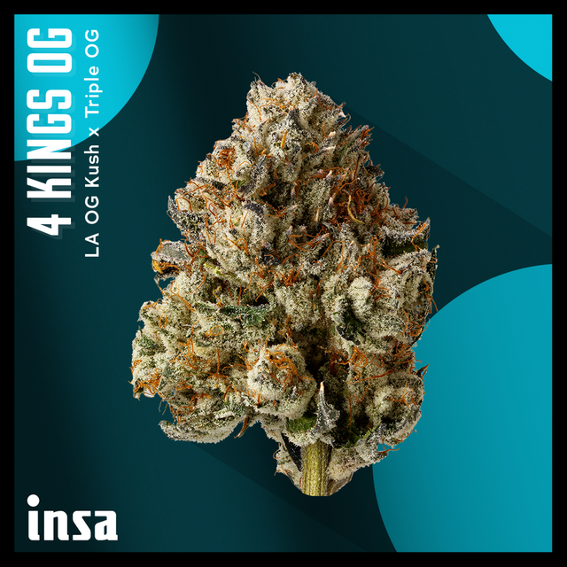4 Kings OG INSA 4 Kings OG INSA