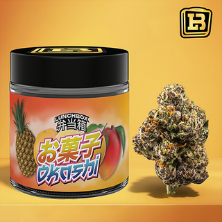 Cannabis Promo, Cannabis Sales, Cannabis Discounts, Cannabis on Sale, NEW BRAND!🚨 40% OFF LUNCHBOX Products! 3