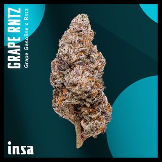 Cannabis Promo, Cannabis Sales, Cannabis Discounts, Cannabis on Sale, $120 for INSA 28g Flower! 3