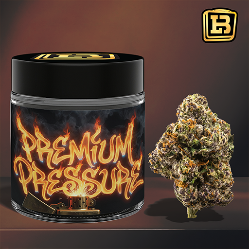 PREMIUM PRESSURE 14g Whole Flower | Curaleaf Scottsdale, AZ