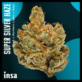 Cannabis Promo, Cannabis Sales, Cannabis Discounts, Cannabis on Sale, $120 for INSA 28g Flower! 1