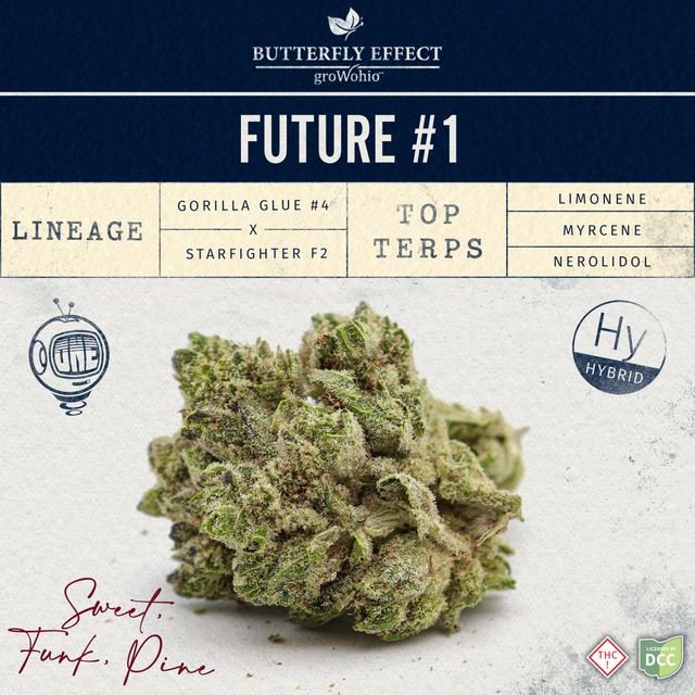 Future #1 Butterfly Effect