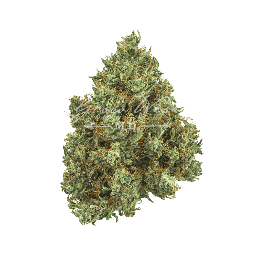 Lilac Diesel