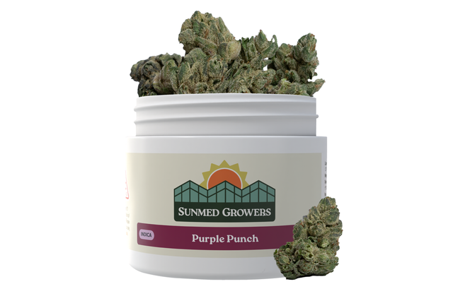 Purple Punch SunMed Growers