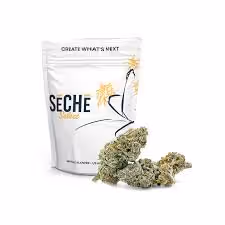 ZZ Bop SeCHe