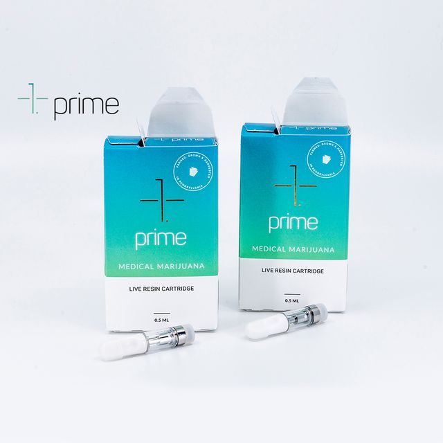 Lion Killer Extractors Blend Prime Wellness Lion Killer Extractors Blend Prime Wellness