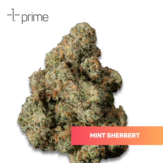 Mint Sherb Prime Wellness