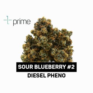 Sour Blueberry #2 Prime Wellness