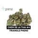 Chem De La Thai #4 Prime Wellness Chem De La Thai #4 Prime Wellness