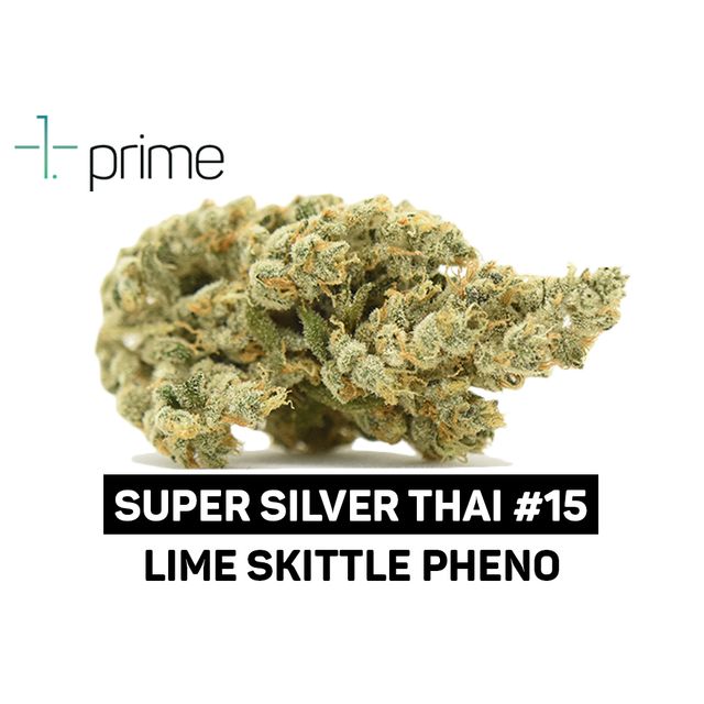 Super Silver Thai #15 Prime Wellness Super Silver Thai #15 Prime Wellness