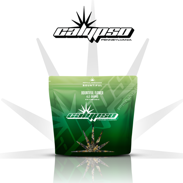 Zoap Calypso