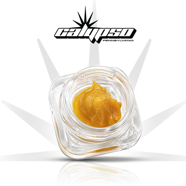 White Sherbo Calypso White Sherbo Calypso
