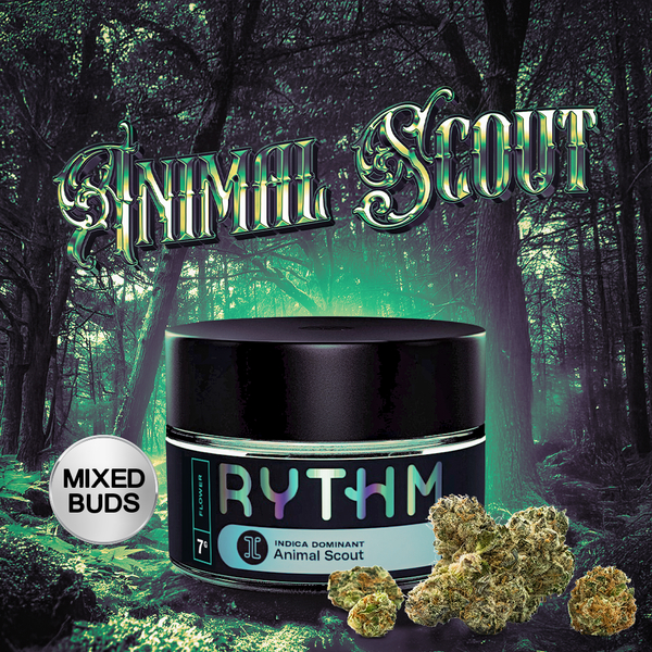 Animal Scout
