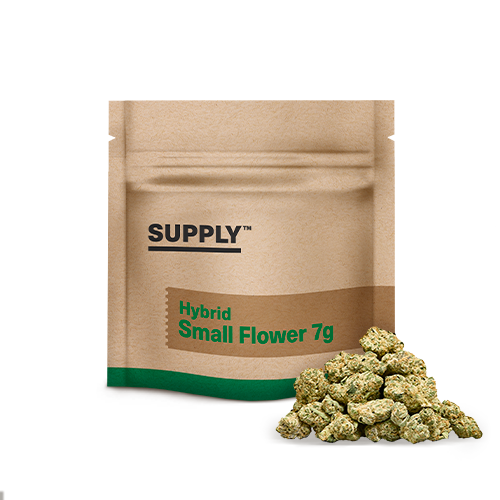 Chimera Junky Supply Chimera Junky Supply