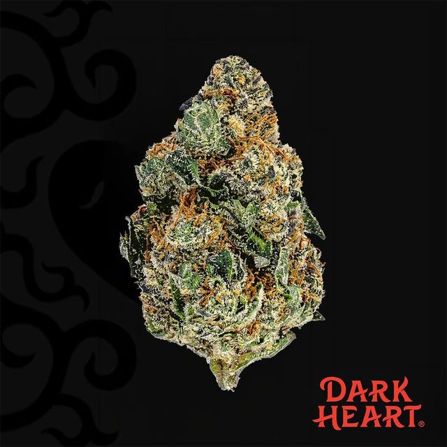 Berry Blintz Dark Heart