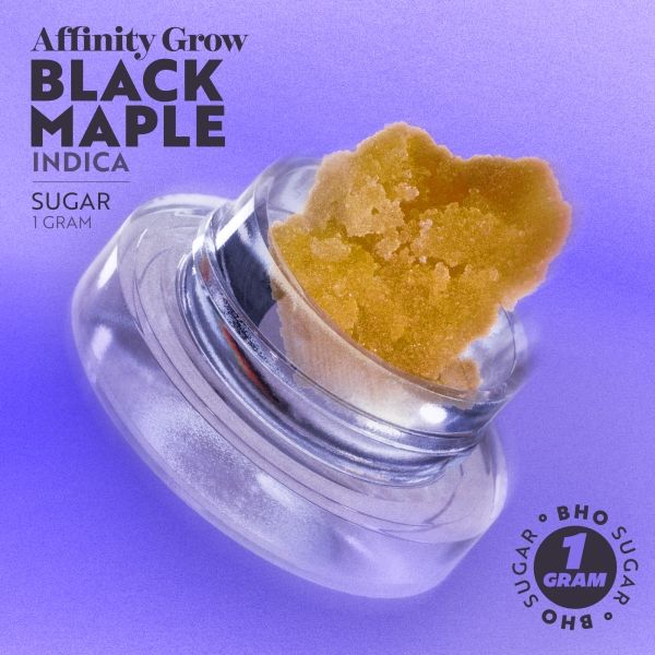Black Maple Affinity Grow