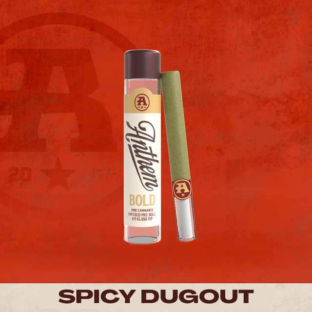 Spicy Dugout Anthem Spicy Dugout Anthem